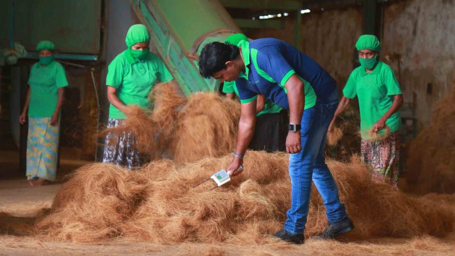 Natural Coconut Fiber (Coir) Products